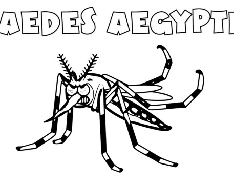 Profile Picture of Insect Coloring Pages