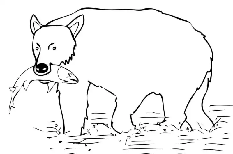 Brown Bear Hunting Fish Finsh In Mouth Coloring Page