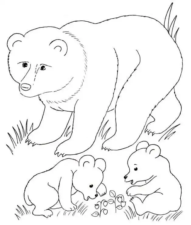 Brown Bears Family With Child Coloring Page