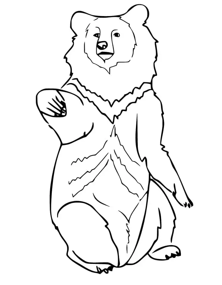 Free Printable Black Bear Sitton On Paw Coloring Page