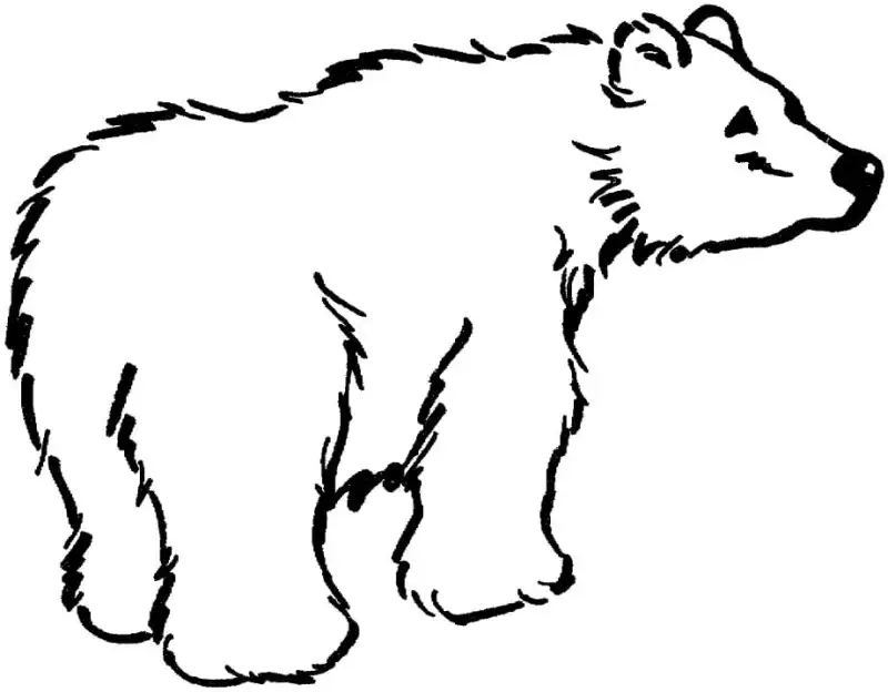 Free Printable Brown Bear Coloring Pages